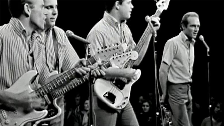 кадр из фильма The Beach Boys: The Lost Concert