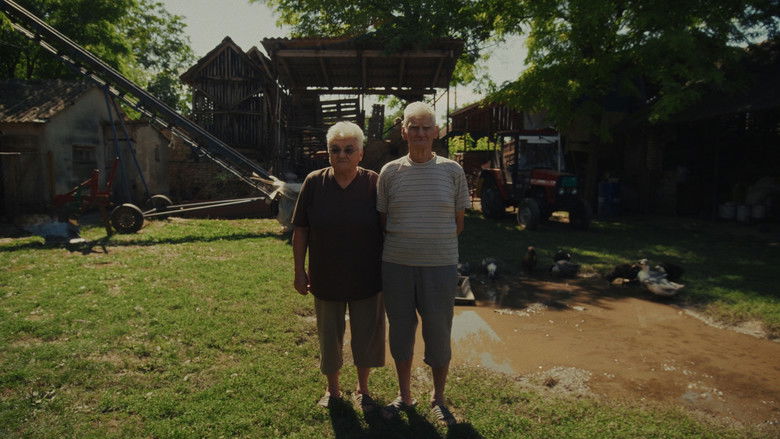 кадр из фильма Színház sárból