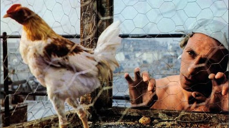 кадр из фильма Коклюш