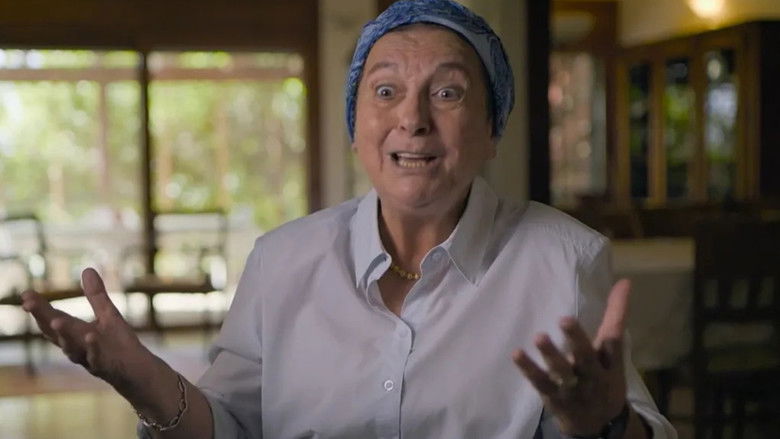 תוכנית ההתחברות