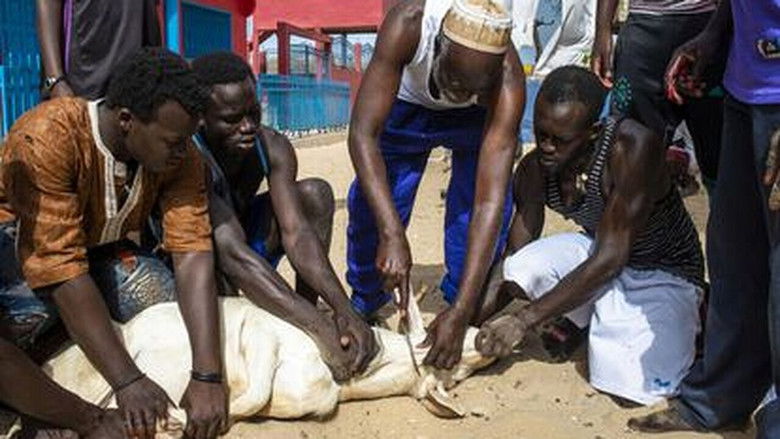 кадр из фильма Tabaski