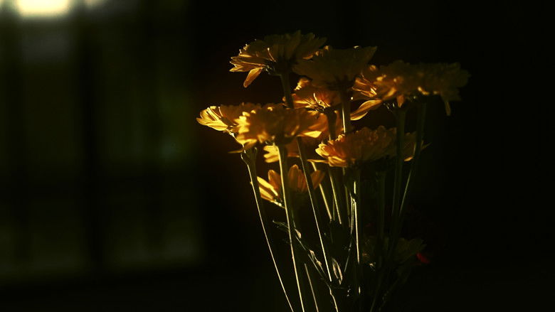 кадр из фильма De lo Indecible