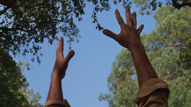 кадр из фильма Огненный ветер