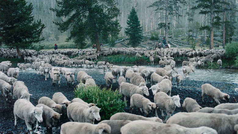 кадр из фильма Sweetgrass