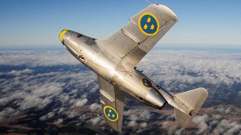 кадр из фильма Gula divisionen