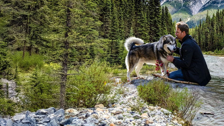 кадр из фильма Собака-герой: Путешествие домой