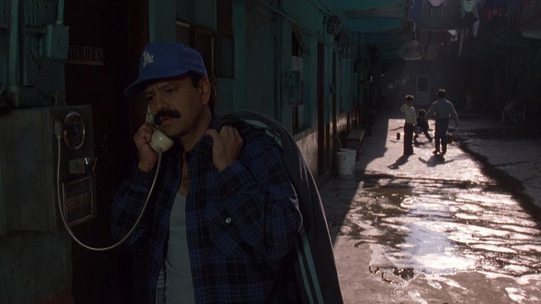 кадр из фильма Born in East L.A.