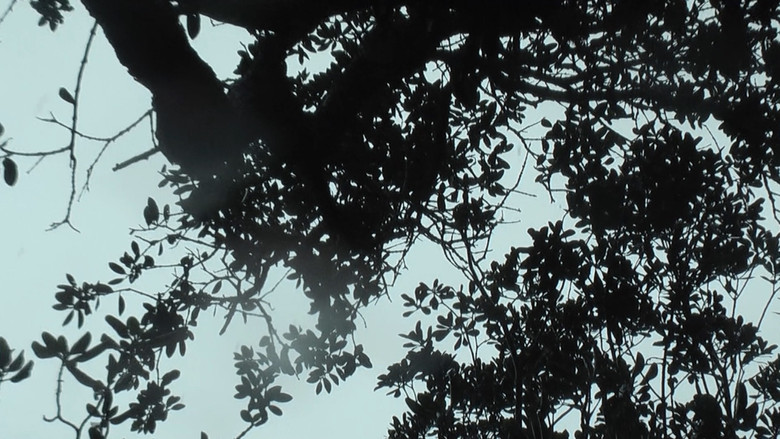 кадр из фильма Eventide