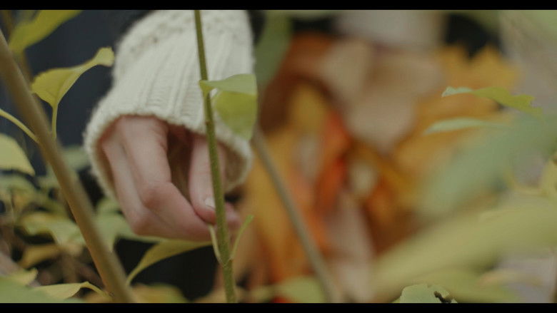 кадр из фильма Sonus ex Machina