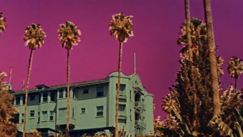 кадр из фильма Модельерша