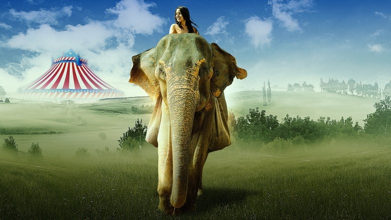 кадр из фильма Побег с Фионой