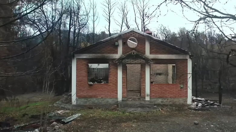 кадр из фильма Tormenta de fuego: Incendios en la Patagonia