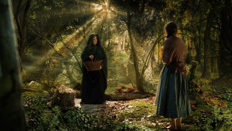 кадр из фильма De vilde svaner