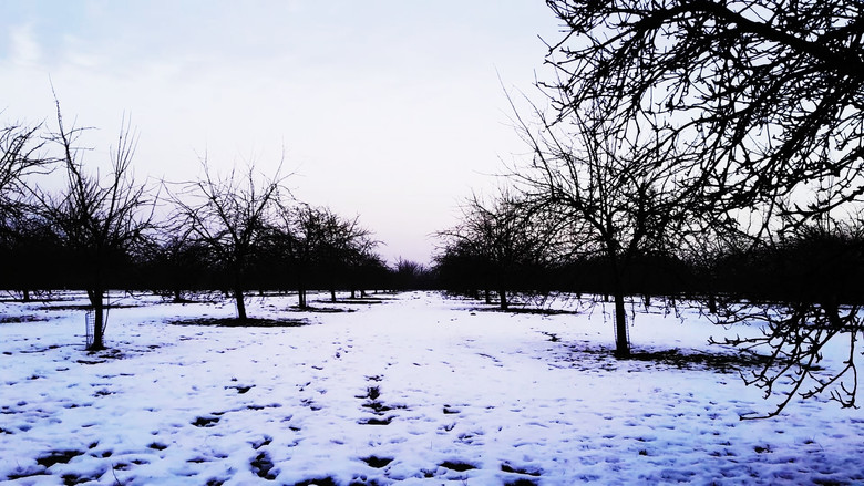 кадр из фильма In Dreams