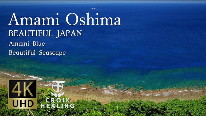 奄美大島 ~いのち紡ぐ島
