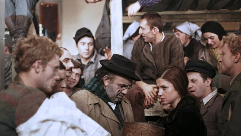 кадр из фильма Пейзаж после битвы