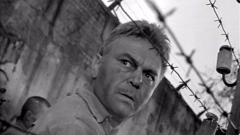 кадр из фильма Судьба человека