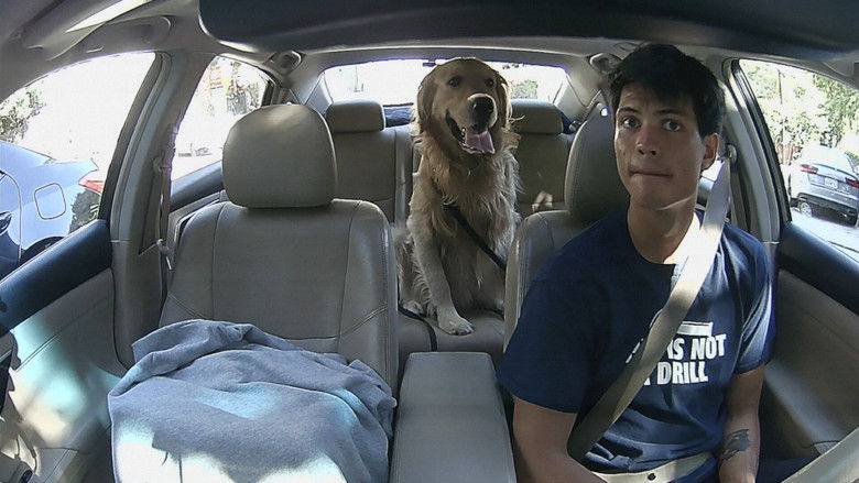 кадр из фильма Dropping Off