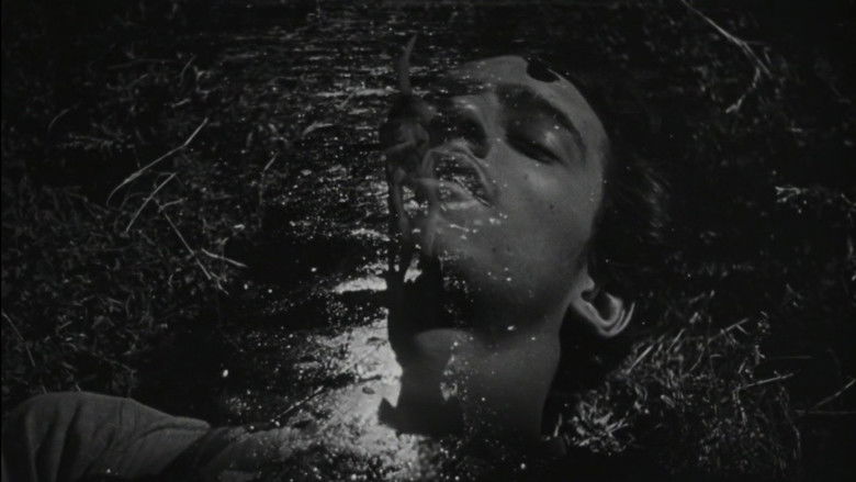 кадр из фильма Забытые