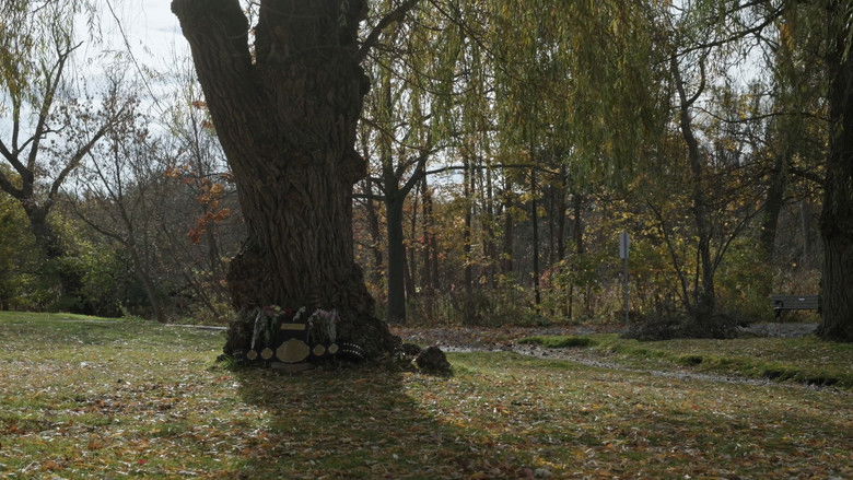 кадр из фильма My Fighter