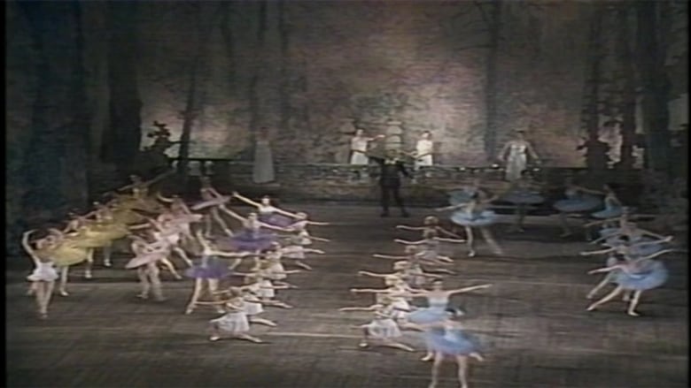 кадр из фильма Don Quixote (Kirov Ballet)