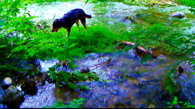 кадр из фильма Прощай, речь