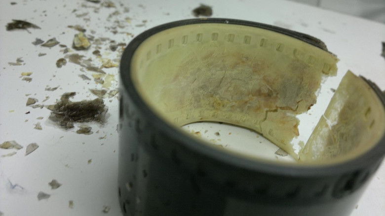 кадр из фильма Dispositio