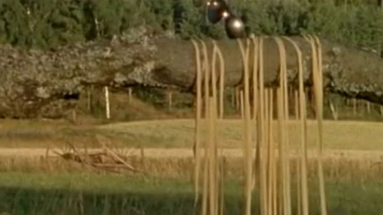 кадр из фильма Al Dente