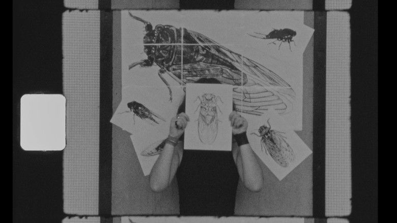 кадр из фильма Mania