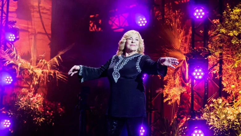 кадр из фильма La Grande Fête de Carcassonne