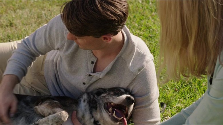 кадр из фильма Список