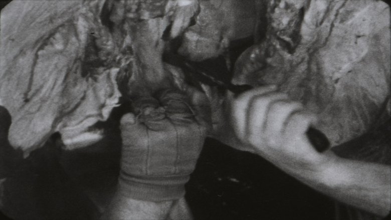 кадр из фильма Autumnal Equinox