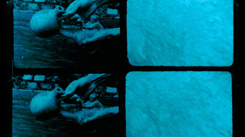 кадр из фильма Afluente