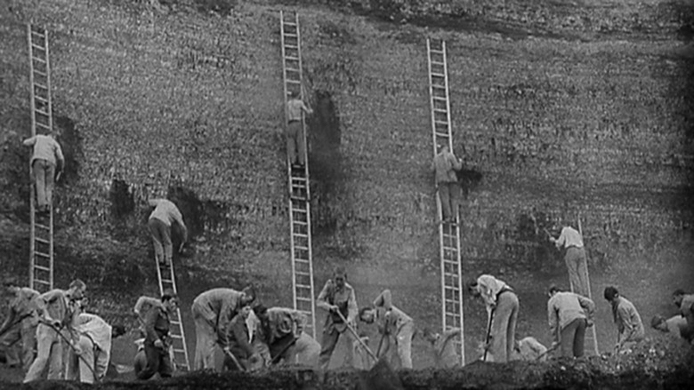 кадр из фильма Шутка