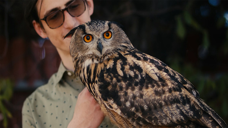 кадр из фильма Rite of the Shaman