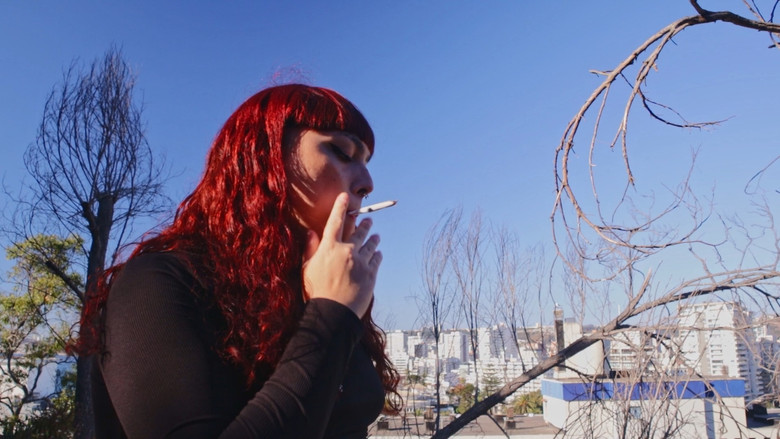 кадр из фильма Gabriela Misstrans: Delirio Disidente