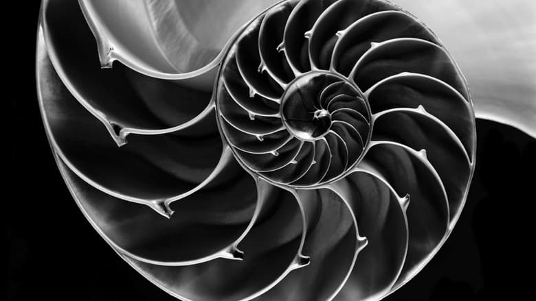 кадр из фильма Phi