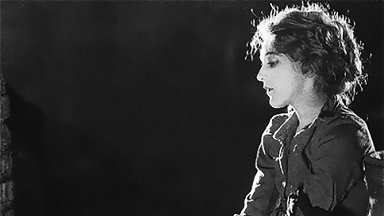 кадр из фильма Мыльная пена