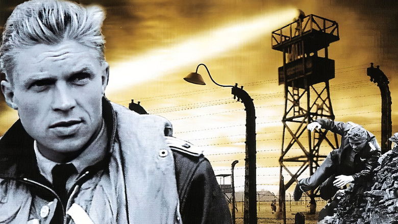 кадр из фильма Тот, кто сбежал