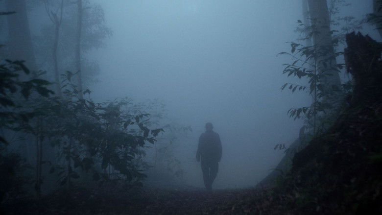 кадр из фильма 複層之森