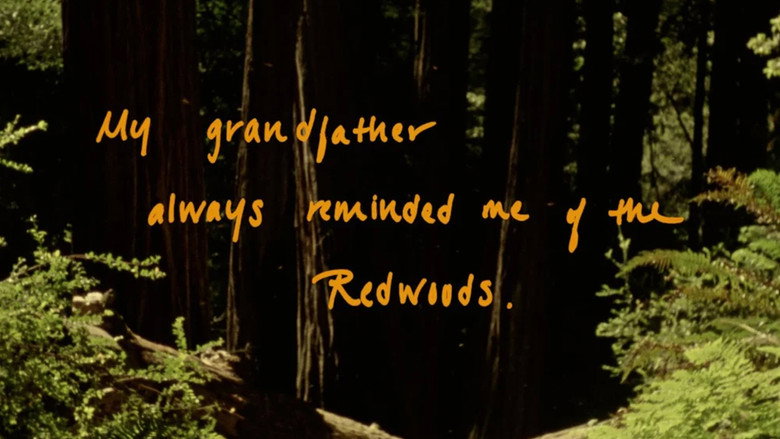 кадр из фильма Buckskin