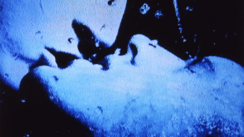 кадр из фильма Self-Portrait in 23 Rounds: a Chapter in David Wojnarowicz’s Life, 1989–1991