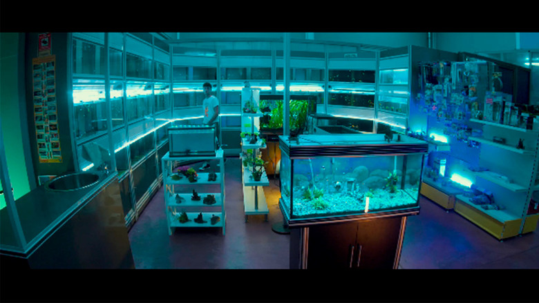 кадр из фильма Splen