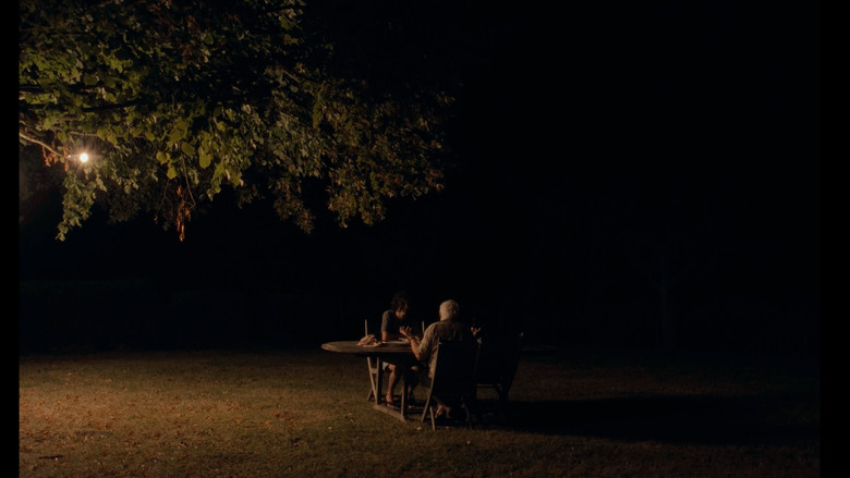 кадр из фильма les grillons.