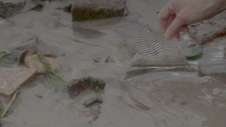 кадр из фильма Dead Horse Bay