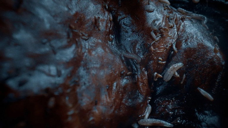 кадр из фильма Beigas