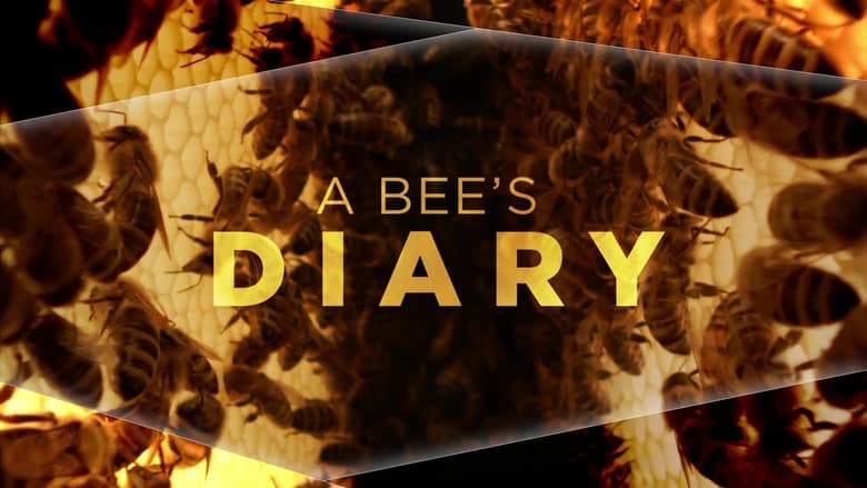 кадр из фильма A Bee's Diary