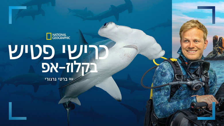 кадр из фильма Hammerhead Sharks Up Close with Bertie Gregory