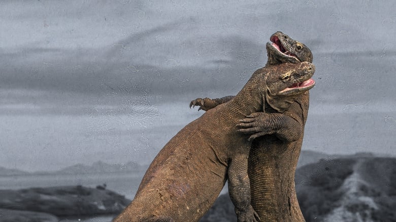 кадр из фильма Attack of the Killer Dragons