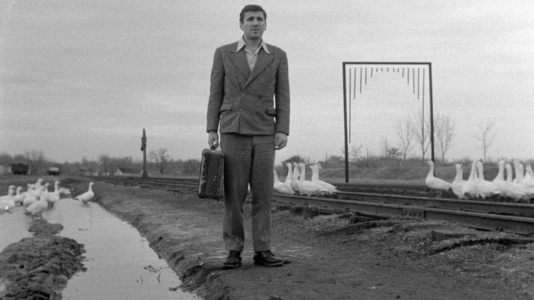 кадр из фильма Три